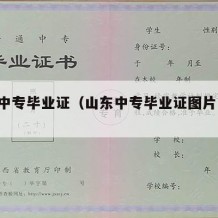 山东中专毕业证（山东中专毕业证图片 样本）