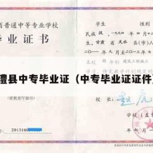 澧县中专毕业证（中专毕业证证件）