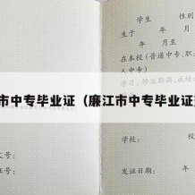 廉江市中专毕业证（廉江市中专毕业证查询）