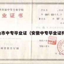 无为市中专毕业证（安徽中专毕业证样本）