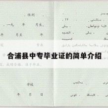 合浦县中专毕业证的简单介绍