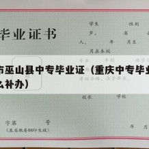 重庆市巫山县中专毕业证（重庆中专毕业证丢了怎么补办）