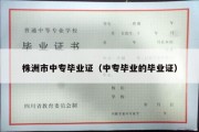 株洲市中专毕业证（中专毕业的毕业证）
