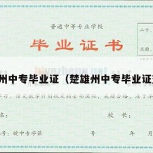 楚雄州中专毕业证（楚雄州中专毕业证查询）