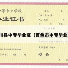 灵川县中专毕业证（百色市中专毕业证）