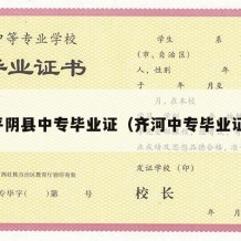 平阴县中专毕业证（齐河中专毕业证）