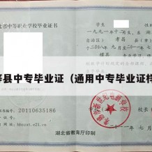 天等县中专毕业证（通用中专毕业证样本）