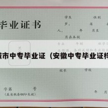 宣城市中专毕业证（安徽中专毕业证样本）