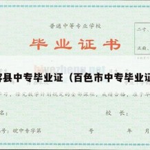 容县中专毕业证（百色市中专毕业证）