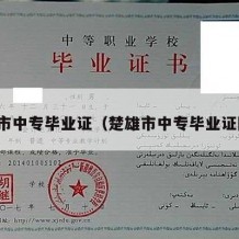 楚雄市中专毕业证（楚雄市中专毕业证图片）