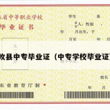 攸县中专毕业证（中专学校毕业证）