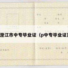 澄江市中专毕业证（p中专毕业证）