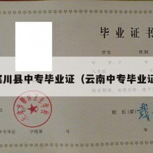 宾川县中专毕业证（云南中专毕业证）