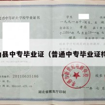 蓝山县中专毕业证（普通中专毕业证样本）