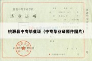桃源县中专毕业证（中专毕业证原件图片）