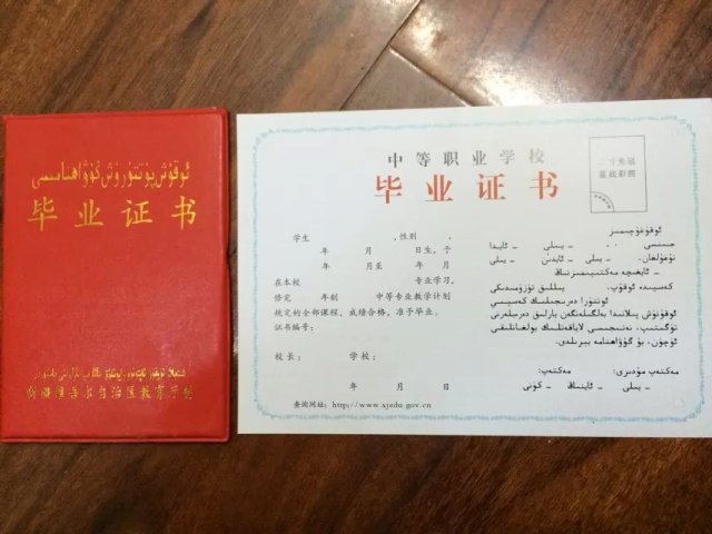 新疆中专毕业证样本（新疆中专图片）